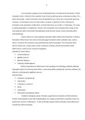 Komandinis darbas organizacijoje 4 puslapis