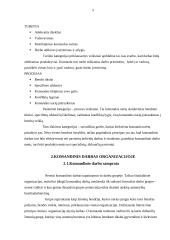 Komandinis darbas organizacijoje 5 puslapis