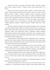 Komizmas, komizmo sukūrimo priemonės 3 puslapis