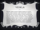 Lietuvos valdžia 3 puslapis
