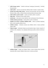 Kompiuterio ir jo darbo vietos ergonominis vertinimas ir rekomendacijų jo gerinimui paruošimas 11 puslapis