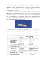Kompiuterio ir jo darbo vietos ergonominis vertinimas ir rekomendacijų jo gerinimui paruošimas 17 puslapis