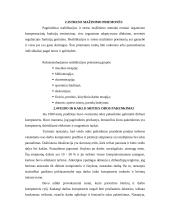 Kompiuterio įtaka žmogaus sveikatai 12 puslapis