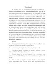 Kompiuteris ir žmogaus sveikata 3 puslapis