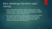 Lietuvos istorija literatūroje 2 puslapis