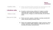 Šalies top 4 komercinių bankų valdysena ir rizikos valdymas 5 puslapis