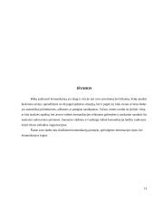 Komunikacijos įtaka organizacijoje 13 puslapis