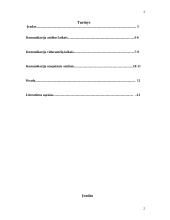 Komunikacijos formų raida 2 puslapis