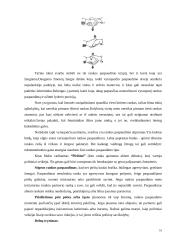 Komunikacinė etika 15 puslapis