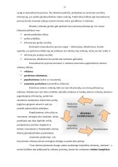 Komunikacinis procesas marketinge 11 puslapis
