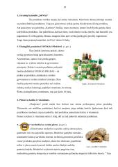 Komunikacinis procesas marketinge 19 puslapis