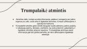 Atmintis ir mokymosi stiliai 5 puslapis