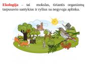 Skaidrės - ekosistema 2 puslapis