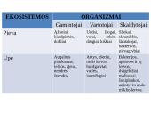 Skaidrės - ekosistema 14 puslapis