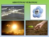 Skaidrės - ekosistema 4 puslapis