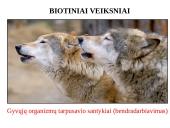 Skaidrės - ekosistema 5 puslapis