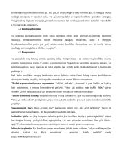 Konflikto sąvoka 11 puslapis