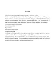 Konflikto sąvoka 15 puslapis