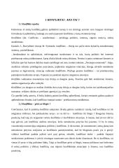 Konflikto sąvoka 4 puslapis