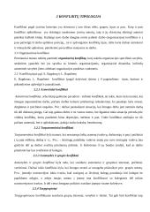 Konflikto sąvoka 5 puslapis