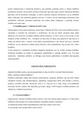 Konflikto sąvoka 6 puslapis
