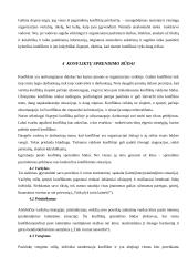 Konflikto sąvoka 10 puslapis