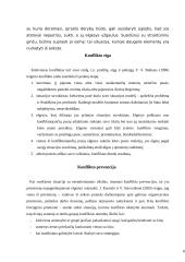 Konfliktai. Konfliktų priežastys ir prevencija 9 puslapis