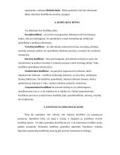Konfliktų valdymas ir prevencija 6 puslapis