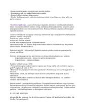 Darbinė atmintis 2 puslapis