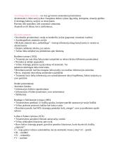 Darbinė atmintis 6 puslapis