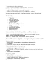 Darbinė atmintis 8 puslapis