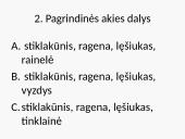 Akies optinės savybės (pristatymas) 17 puslapis