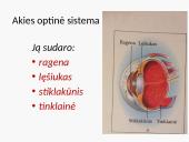 Akies optinės savybės (pristatymas) 3 puslapis