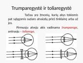 Akies optinės savybės (pristatymas) 10 puslapis