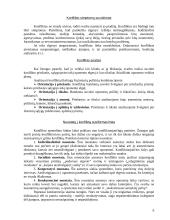 Grupės konfliktų valdymas 6 puslapis