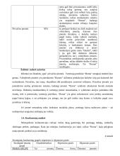 Konkrečios šakos (pramonės, pramoninės veiklos, statybos) vystymo ekonominės problemos: maisto pramonė IĮ "Roma" 11 puslapis