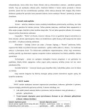 Konkrečios šakos (pramonės, pramoninės veiklos, statybos) vystymo ekonominės problemos: maisto pramonė IĮ "Roma" 13 puslapis