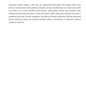 Konkrečios šakos (pramonės, pramoninės veiklos, statybos) vystymo ekonominės problemos: maisto pramonė IĮ "Roma" 15 puslapis