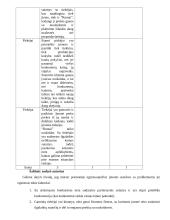 Konkrečios šakos (pramonės, pramoninės veiklos, statybos) vystymo ekonominės problemos: maisto pramonė IĮ "Roma" 9 puslapis