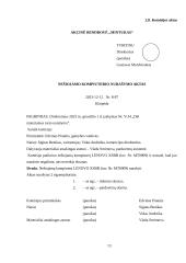 Akcinės bendrovės „Mintukas“ apibūdinimas ir veiklos dokumentai 12 puslapis