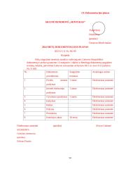 Akcinės bendrovės „Mintukas“ apibūdinimas ir veiklos dokumentai 13 puslapis