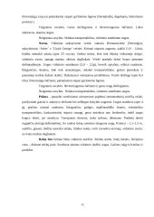 Referatas apie avietes 11 puslapis