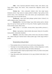 Referatas apie avietes 13 puslapis