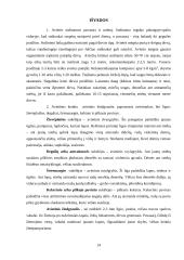 Referatas apie avietes 14 puslapis