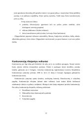 Konkurencijos formos ir jos esmė 12 puslapis