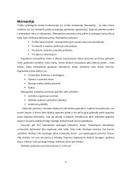 Konkurencijos formos ir jos esmė 6 puslapis