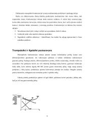 Konkurencijos formos ir jos esmė 9 puslapis