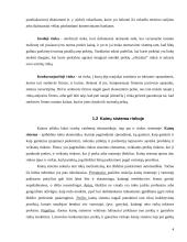 Konkurencijos vaidmuo rinkos ūkyje 4 puslapis