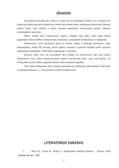 Konkurencijos vaidmuo rinkos ekonomikoje 13 puslapis