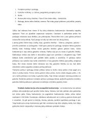 Konkurencijos vaidmuo rinkos ekonomikoje 8 puslapis